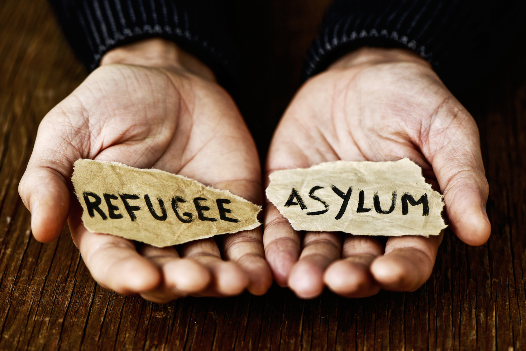 Asylum - Refugee